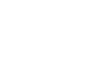 Evolution games at Royal Bets Casino